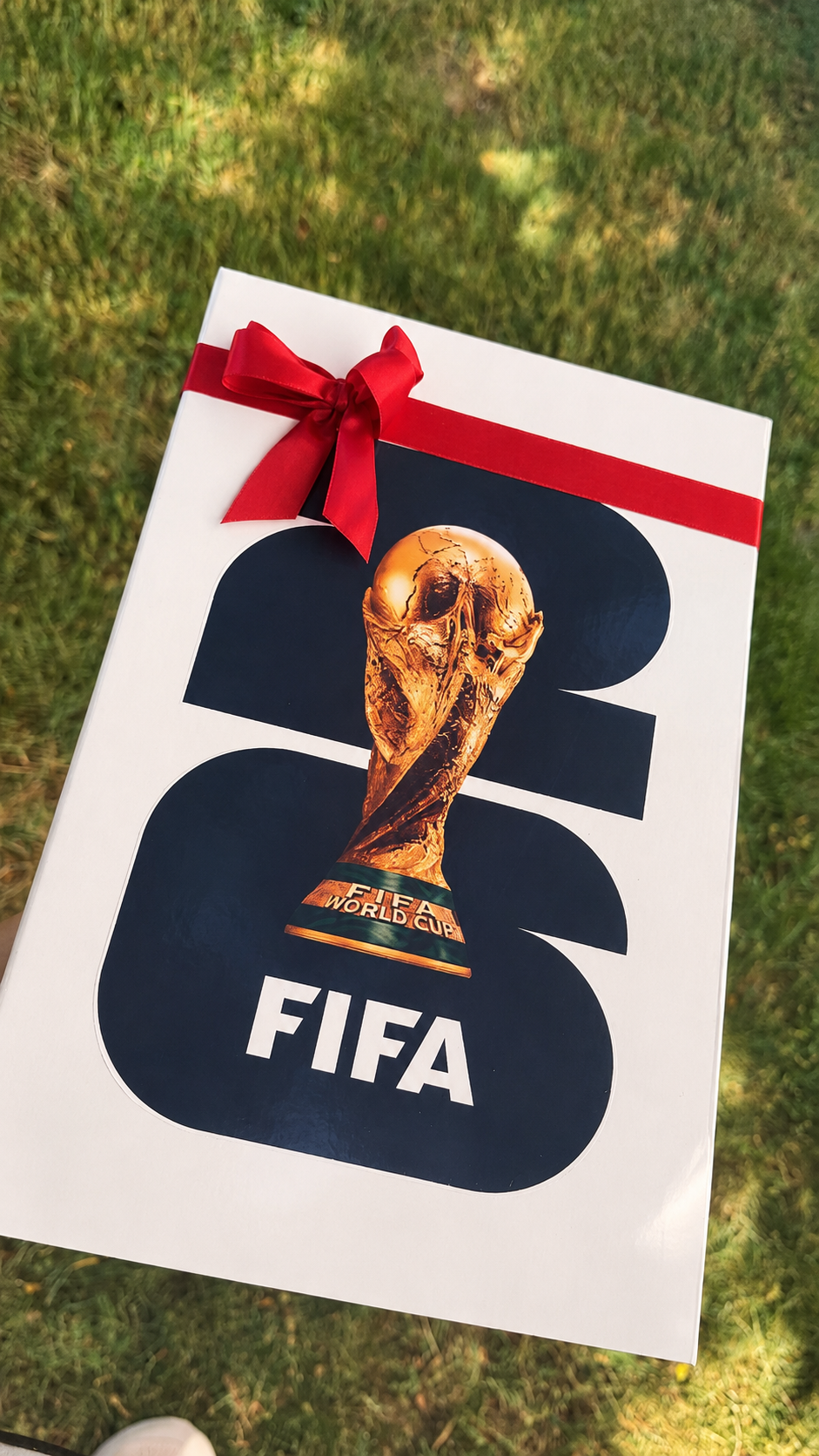 Cuadro CR7 colección mundial ❤️⚽️