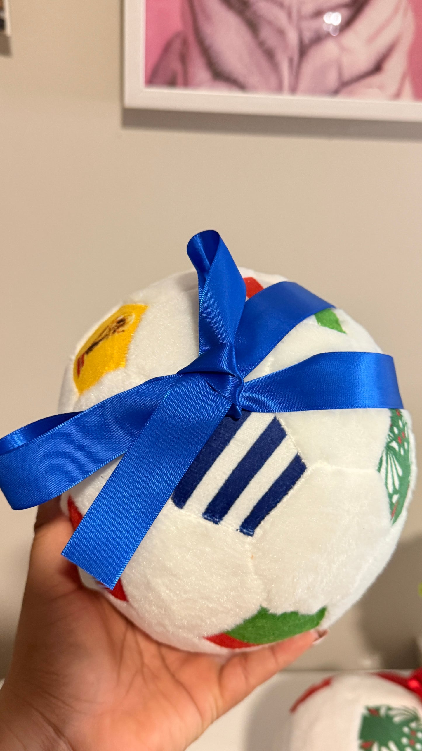 ⚽️Balón peluche Mundial 2026⚽️